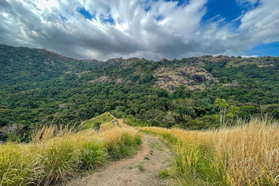 Fiji's Garden of the Sleeping Giant: A Tropical Paradise in the South Pacific