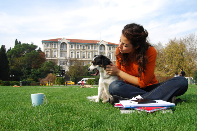 Dorm Pet Policies: What You Need to Know Before Bringing a Furry Friend to College