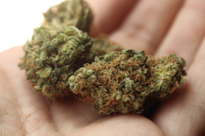 Travel Safety: What You Need to Know About Riding in Trailers and Traveling with Edibles