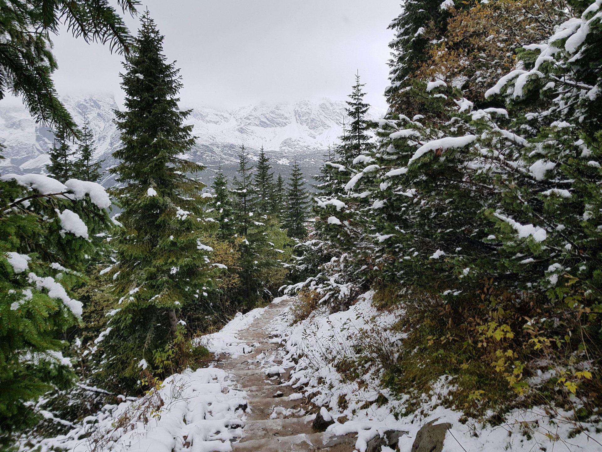 Discover Off-Season Mountain Hiking Routes: Your Guide to Year-Round Adventure