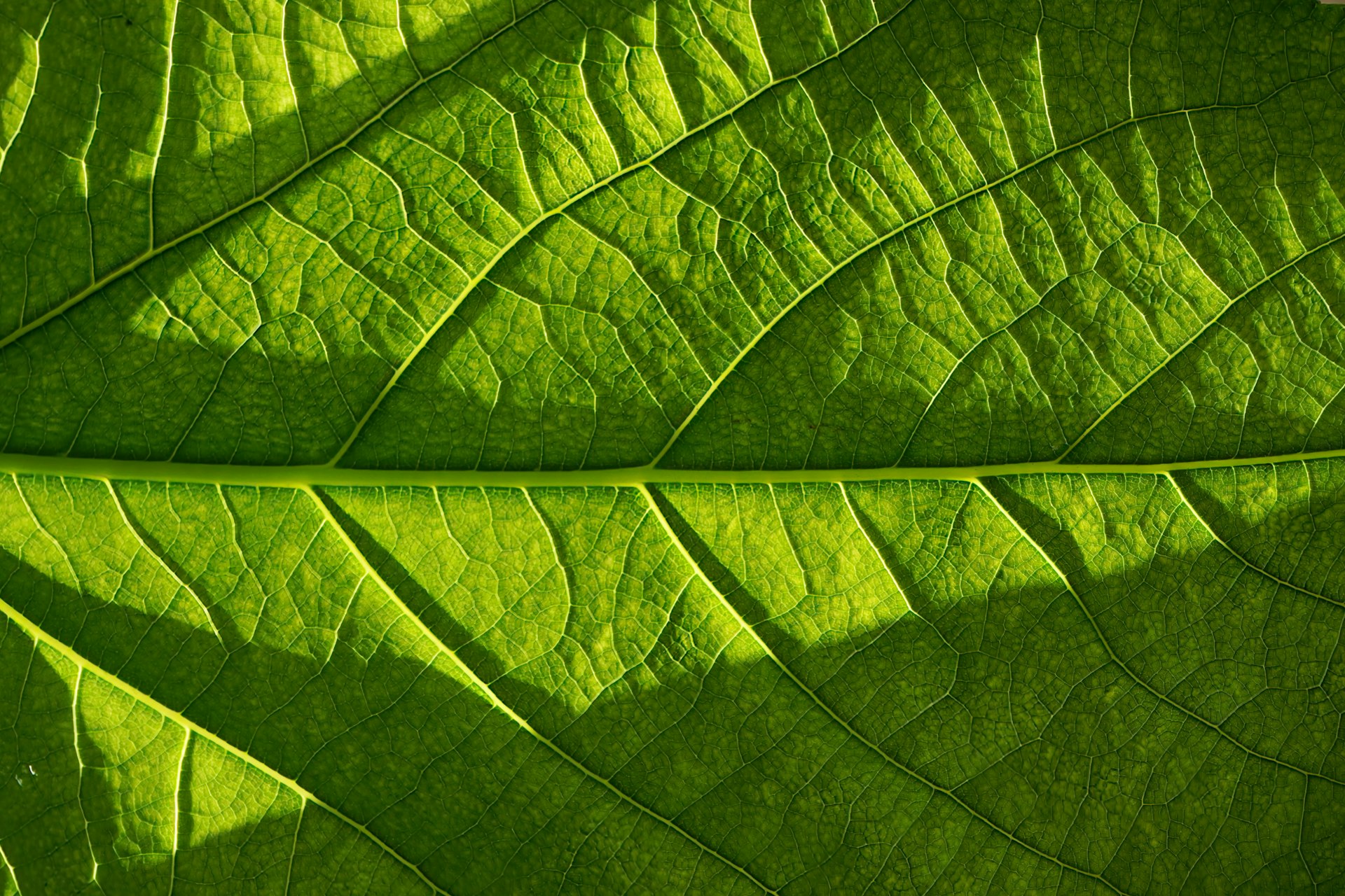 Why Environmental Sustainability Is Essential in Modern Tech Products