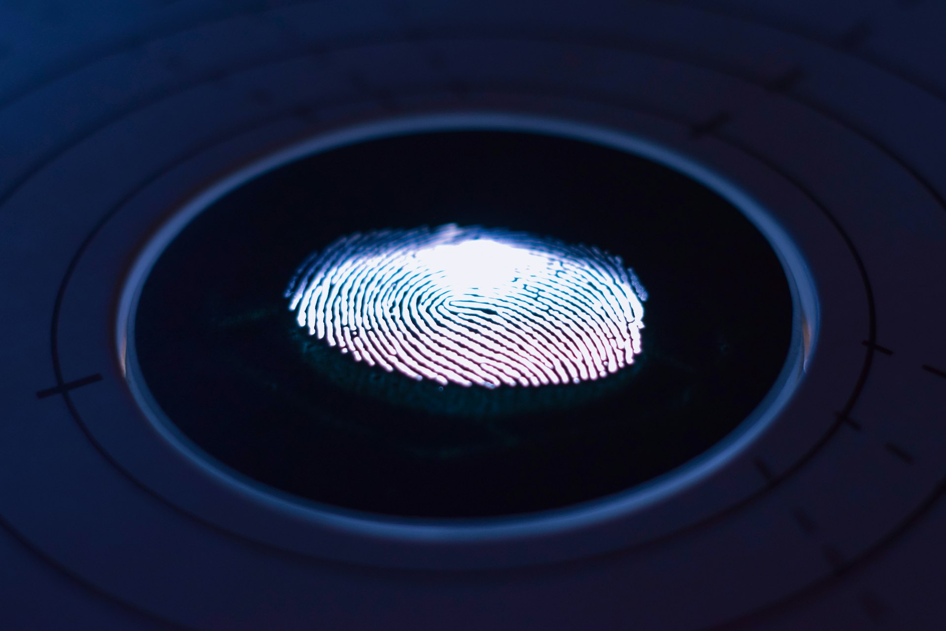 Why Transparent Algorithms Are Critical for Trustworthy AI Systems